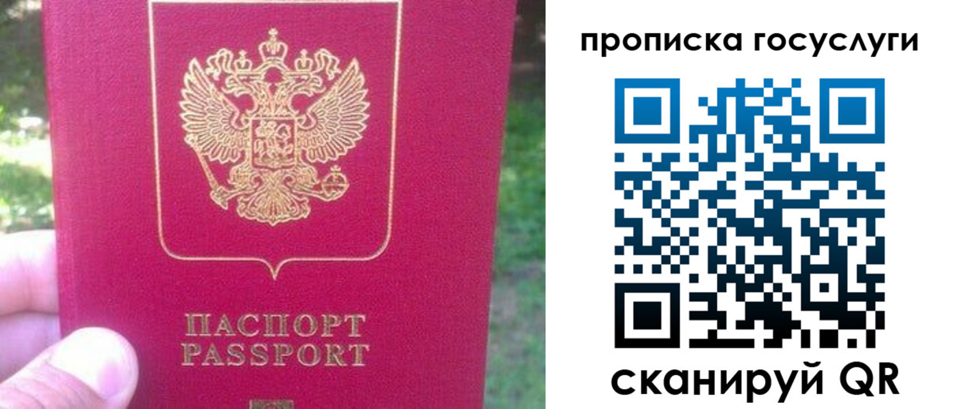 временная регистрация собственник в Лисках